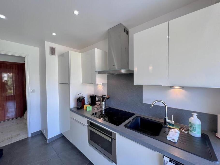Le Pinede - Apt 4 Prs- Parking - Clim - 500M Plages อองทีบส์ ภายนอก รูปภาพ